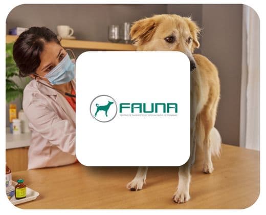 Logo Fauna especialidades veterinárias